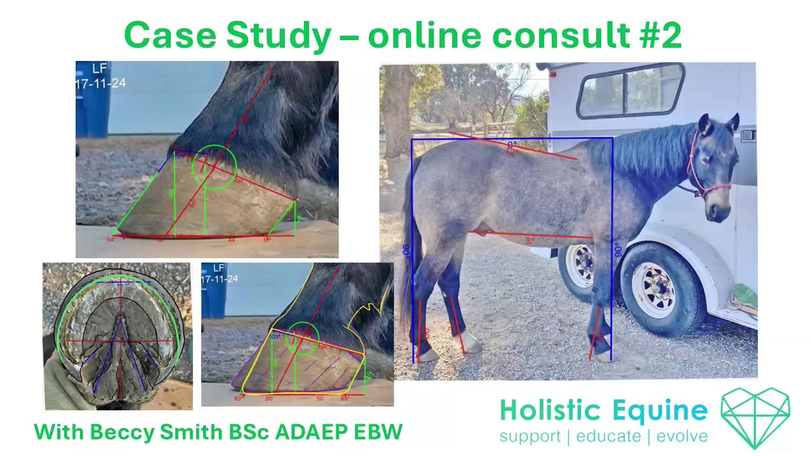 Case Study online consult 2 Gloria and Noche